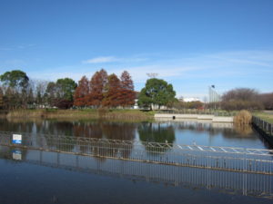 千葉県立　柏の葉公園3